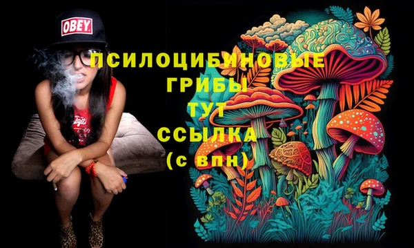 ПСИЛОЦИБИНОВЫЕ ГРИБЫ Алексин