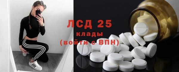 ПСИЛОЦИБИНОВЫЕ ГРИБЫ Алексин