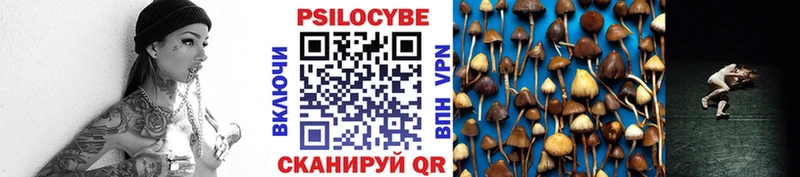 Галлюциногенные грибы Cubensis  закладка  Петушки 